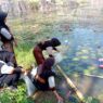 Dua Ribu Benih Ikan Nila Ditebar