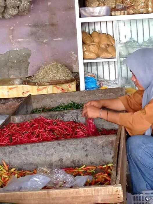 Harga Cabai Rawit Merah Makin Pedas