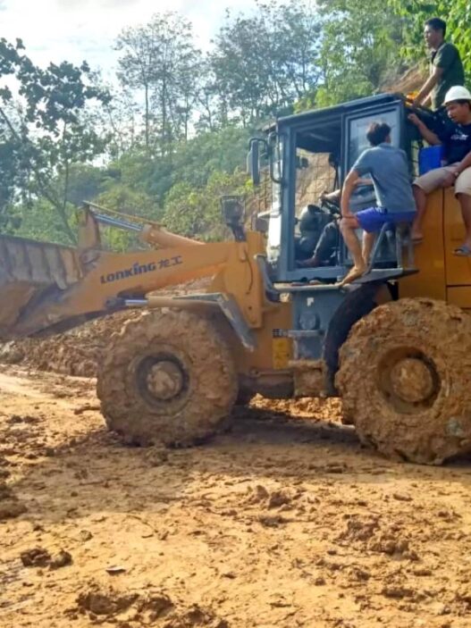 Hutan Sumatera Kurang Dari 30 Persen