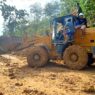 Hutan Sumatera Kurang Dari 30 Persen