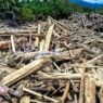 Kasus Kayu Gelondongan Sumut Naik Penyidikan
