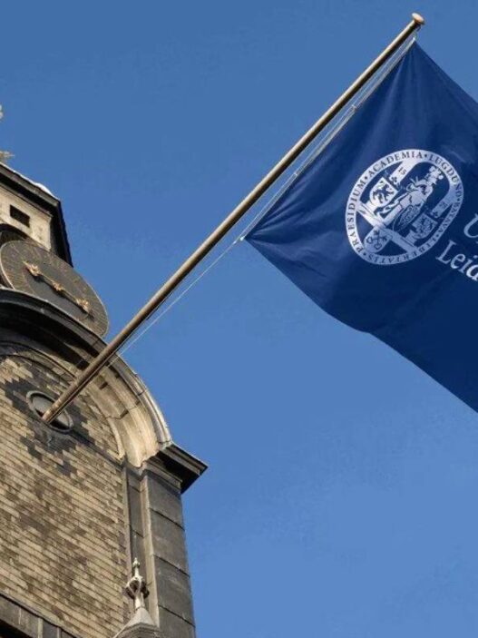 Kesempatan Riset di Universitas Leiden Melalui Program Lingling Wiyadharma Fellowship