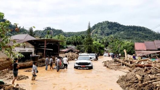 Korban Banjir Longsor Jadi 810 Orang Meninggal