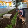 Libatkan Anjing Pelacak untuk Cek Gereja
