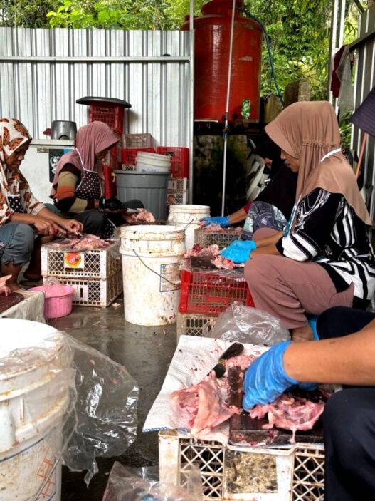 Limbah Kepala Ayam Jadi Berkah Penggerak Ekonomi