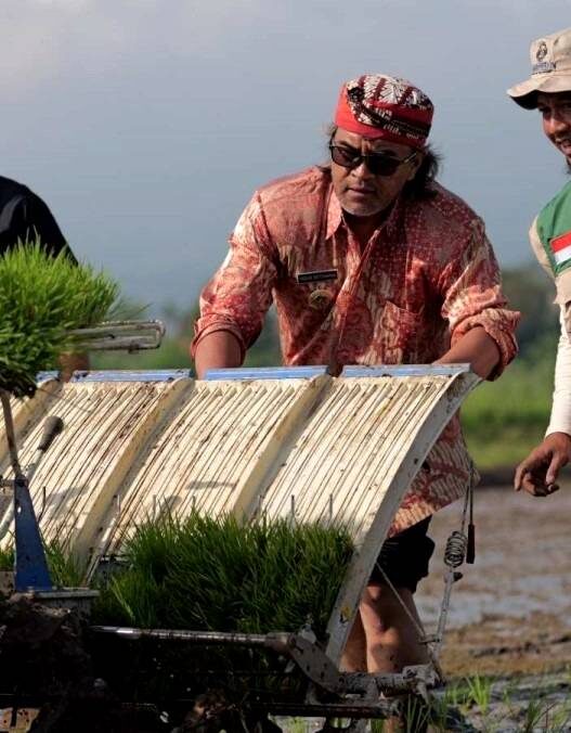 Petani Gunakan Ttransplanter untuk penanaman padi
