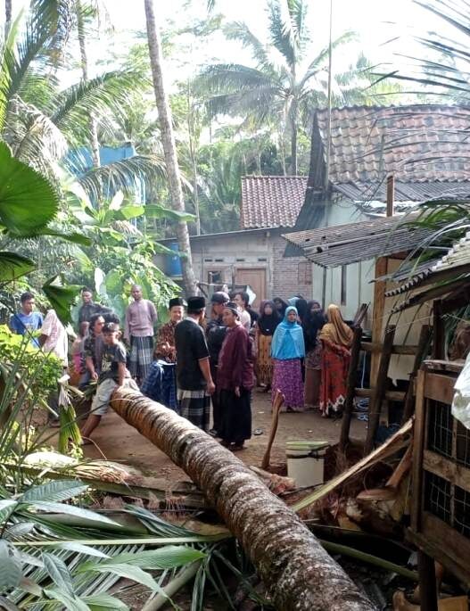 Pohon Kelapa Tumbang, Satu Warga Meninggal