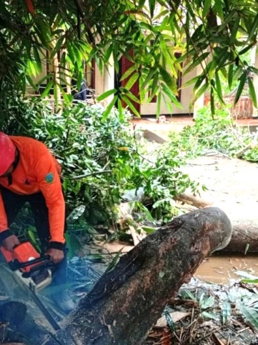 Pohon Tumbang dan Longsor Rusak Bangunan Warga