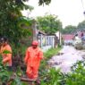 Pohon Tumbang Timpa Rumah di Wonokriyo