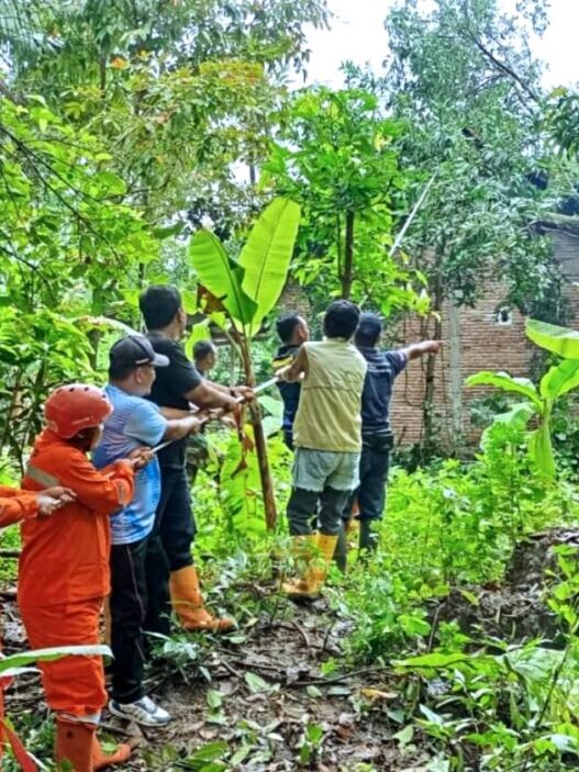 Pohon Tumbang Timpa Rumah Warga Adimulyo