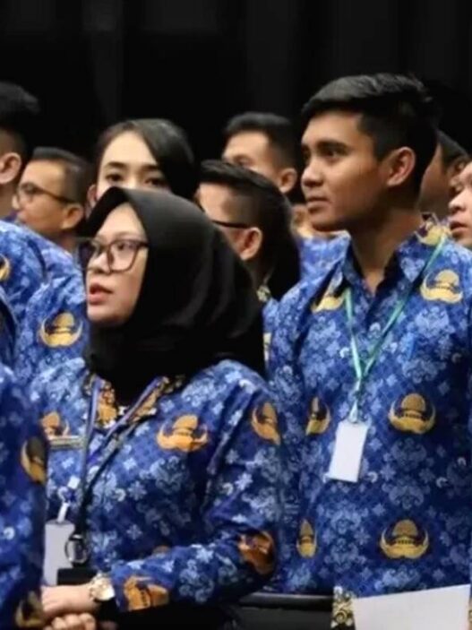 Rincian Besaran Gaji PPPK Paruh Waktu untuk Lulusan SMA atau Golongan V