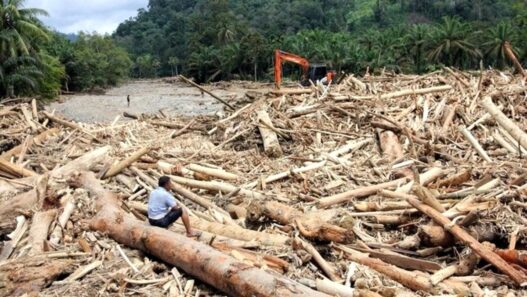 Sampah Banjir Melonjak 6000 Ton Per Hari