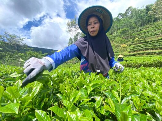 Selalu Pertahankan Proses Tradisional