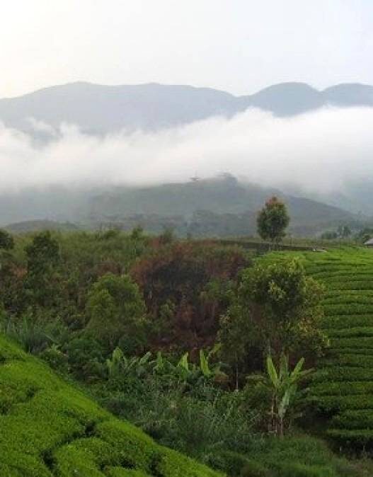 Status Gunung Talang Waspada