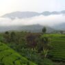 Status Gunung Talang Waspada