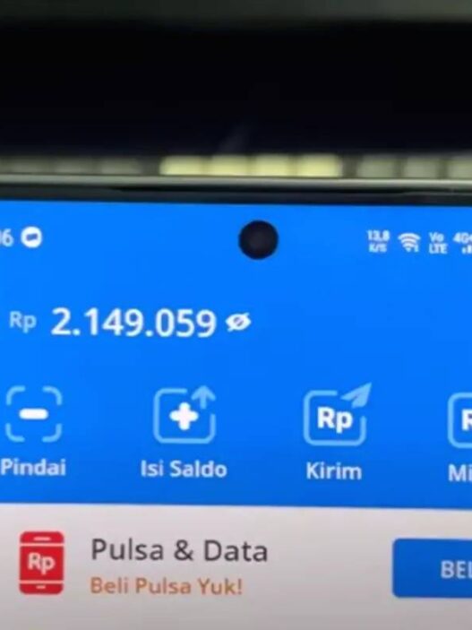 Tampilan aplikasi dana wallet
