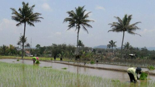Temanggung Targetkan Jadi Lumbung Pangan
