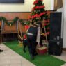 Tiga Gereja Besar Disterilisasi