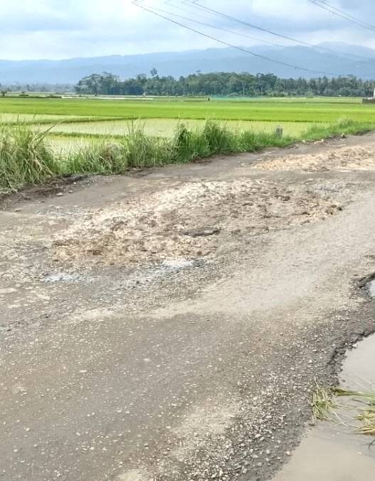 Tonase Jalur Banyumas–Kebumen Dibatasi