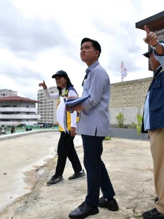 Wapres Gibran Pastikan IKN Sesuai Arah dan Target
