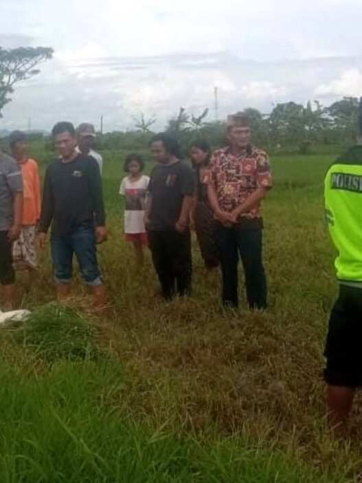 Warga Puring Ditemukan Meninggal di Sawah