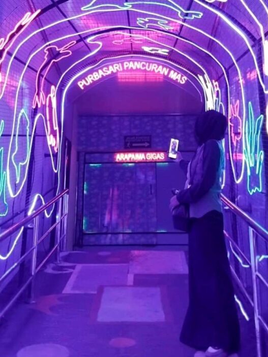 Wisata Edukasi dan Spot Foto Estetik