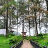 5 Destinasi Wisata Purwokerto Paling Populer