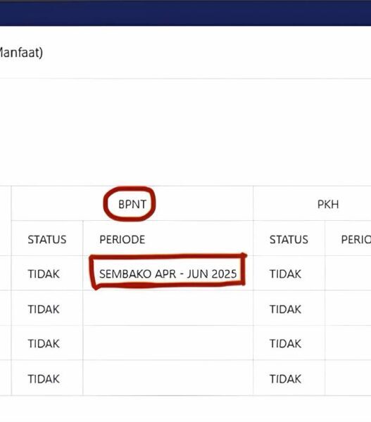 Cek Status BPNT
