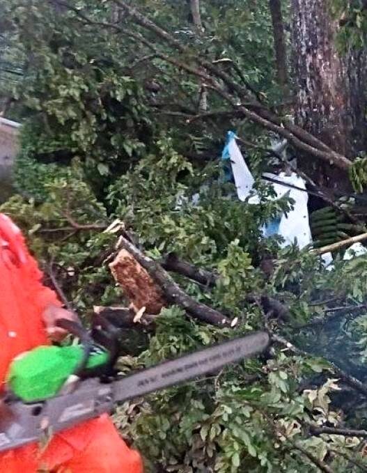 Cuaca Ekstrem Picu Pohon Tumbang di Sejumlah Kecamatan
