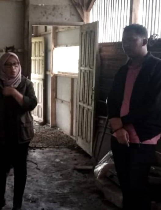 Dari Sampah Dapur Jadi Pakan Ternak