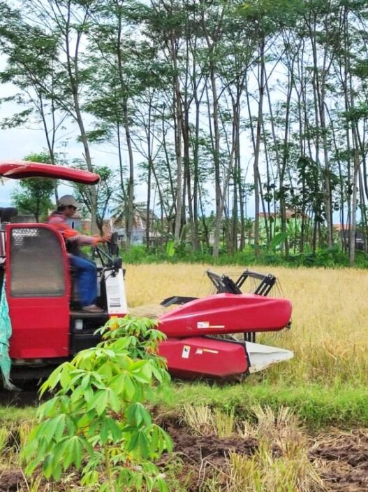 Dinpertan Dorong Warga Siapkan Cadangan Pangan