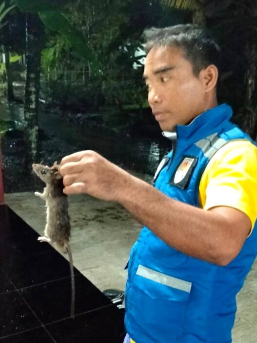 Evakuasi Tikus hingga Wastafel Mampet Lapor Damkar