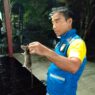 Evakuasi Tikus hingga Wastafel Mampet Lapor Damkar