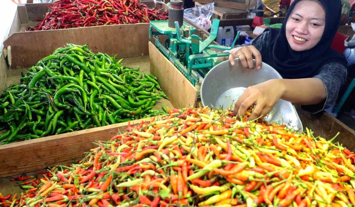 Harga Cabe dan Telur di Banyumas Turun Menjelang Ramadhan