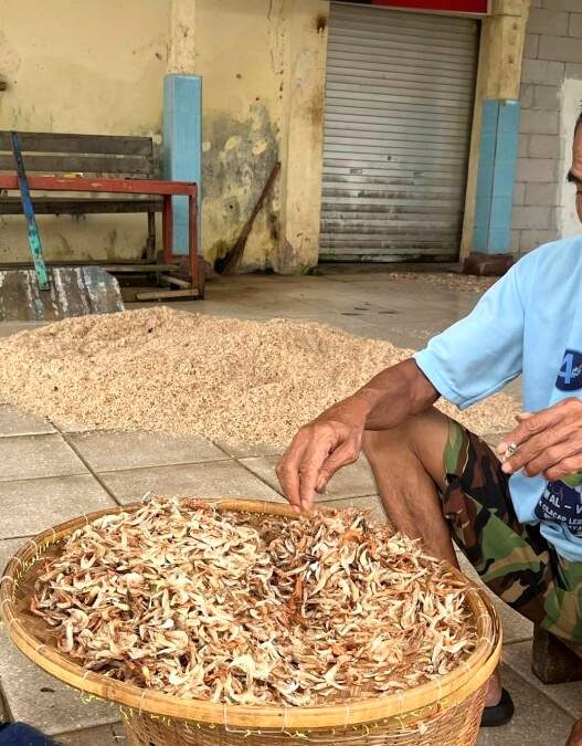 Hasil Tangkapan Nelayan Merosot