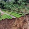 Jalan Penghubung Gemawang–Kemiriombo Ambles
