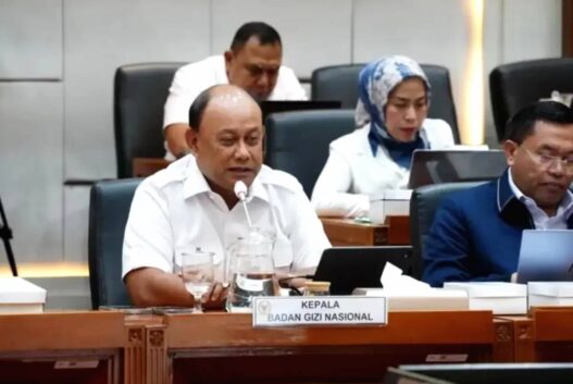 Kepala badan gizi nasional