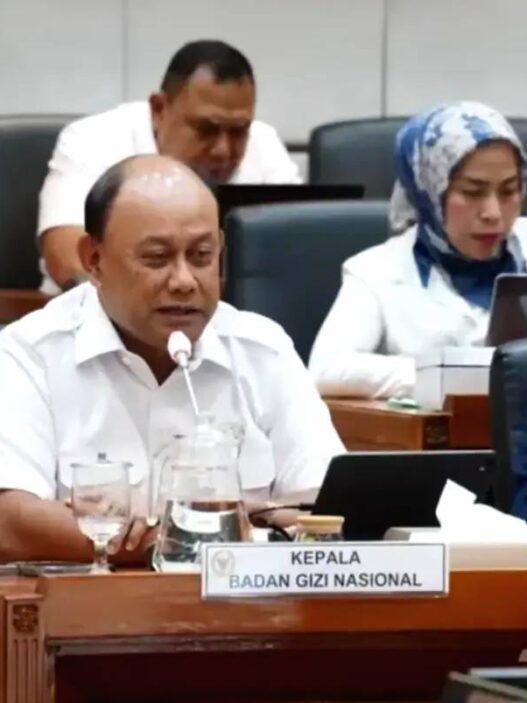 Kepala badan gizi nasional