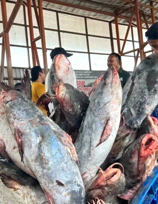 KKP Gandeng BPJPH Perkuat Sertifikasi Halal