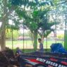 Kompos UPKP Mulai Dilirik Petani