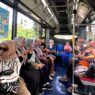 Load Factor Tembus 85 Persen