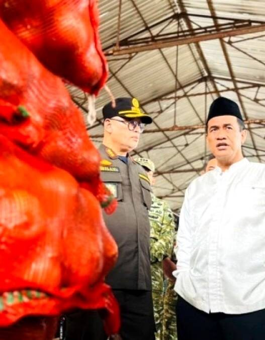 Mentan Sita 133,5 Ton Bawang Bombai Ilegal