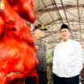 Mentan Sita 133,5 Ton Bawang Bombai Ilegal