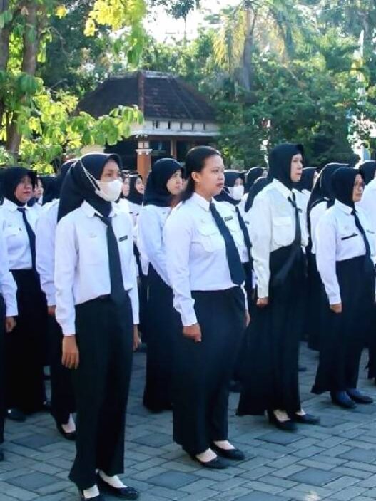 Nominal gaji PPPK paruh waktu lulusan SMA sangat beragam tergantung pada formasi