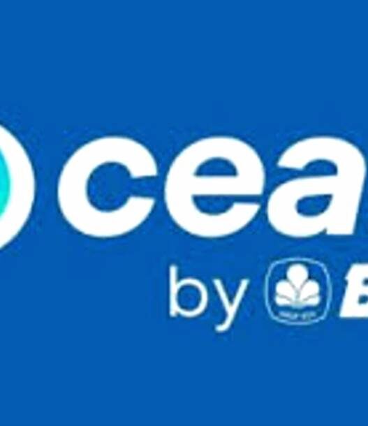 Ocean bca