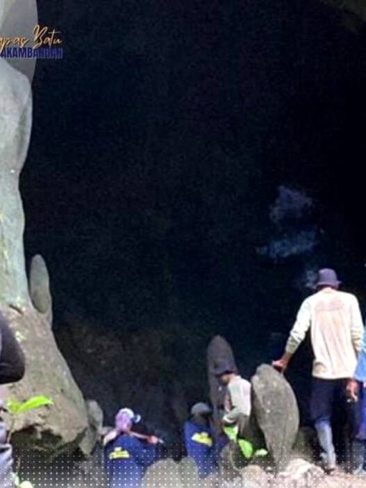 Olah Kotoran Kelelawar Jadi Pupuk