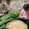 Omzet Tempe Daun Nyangku Tembus Ratusan Ribu