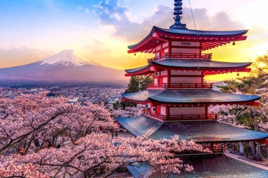 Peluang Kuliah S2 Gratis di Jepang Melalui Beasiswa Ajinomoto