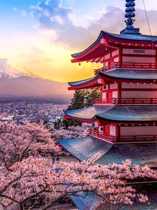 Peluang Kuliah S2 Gratis di Jepang Melalui Beasiswa Ajinomoto