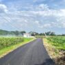 Pembuat Video: Saya Khawatir Ketahanan Jalan